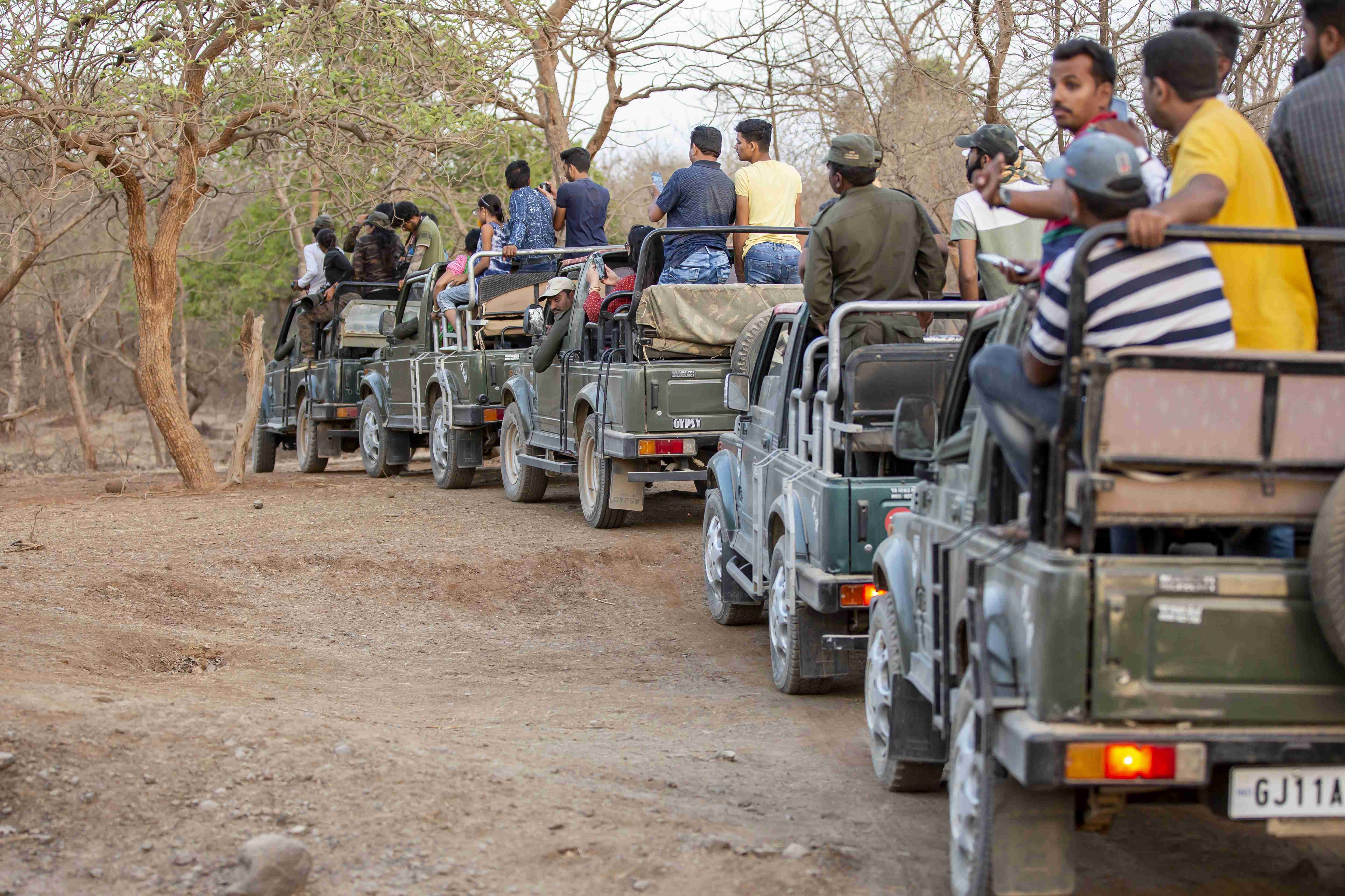 Gir National Park Safari